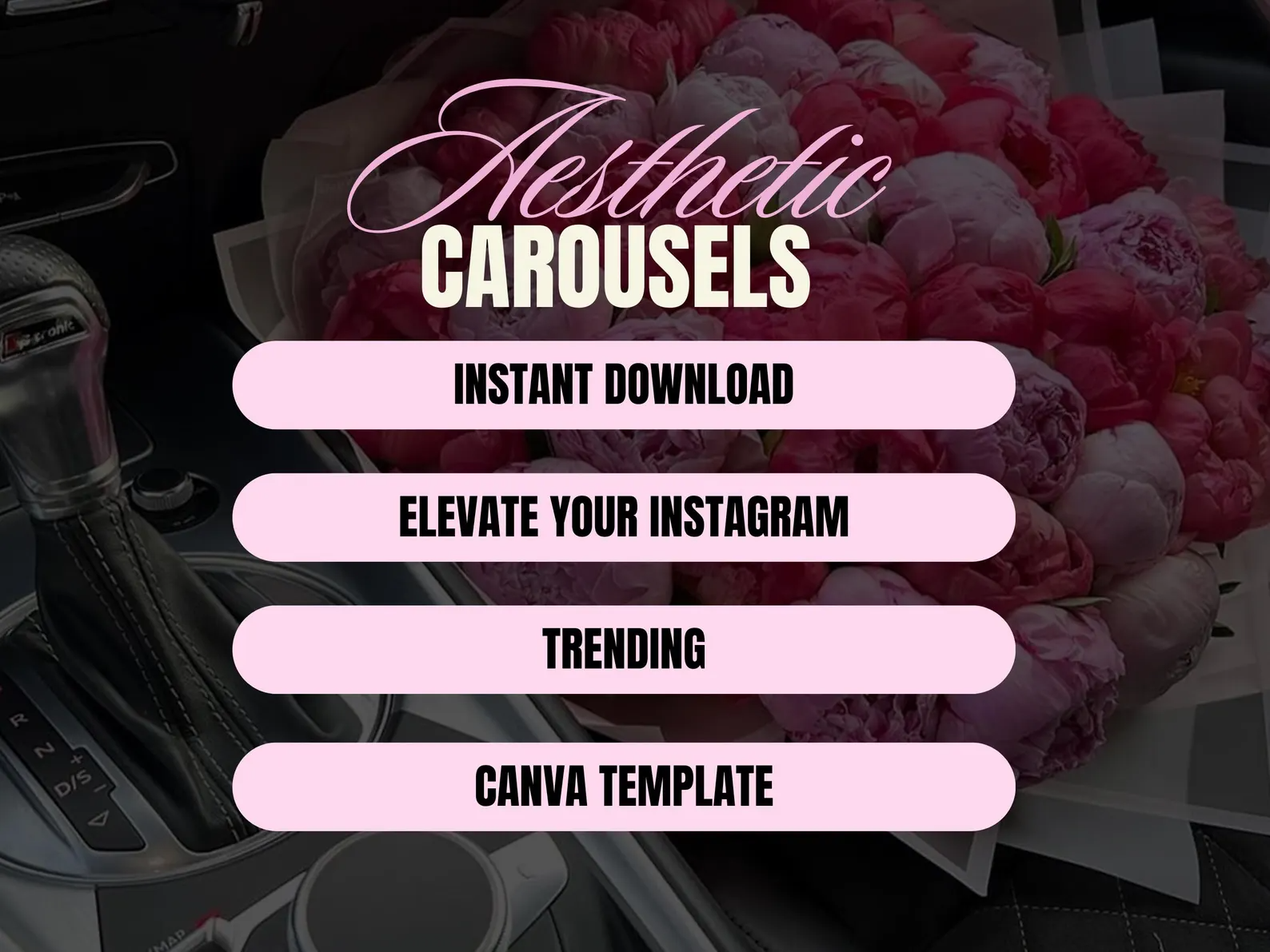 100 Aesthetic Pink Instagram Carousel Templates – Editable Canva (PLR & MRR) - Image 2