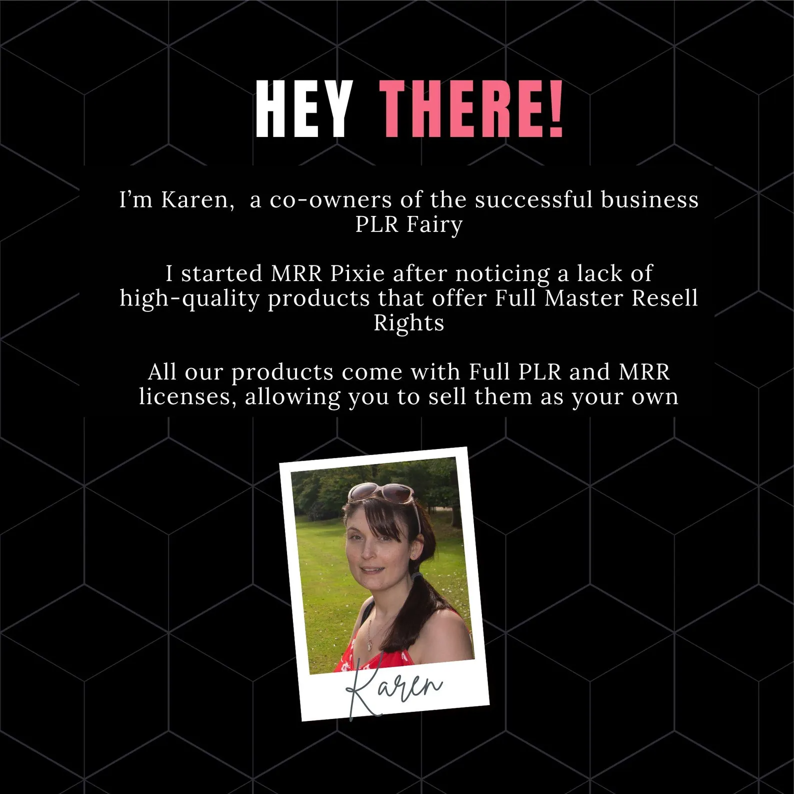 The Passive Income eBook Vault | PLR & MRR Included